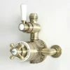 Milano Elizabeth - Traditional Twin Exposed Thermostatic Shower Valve - Brushed Gold